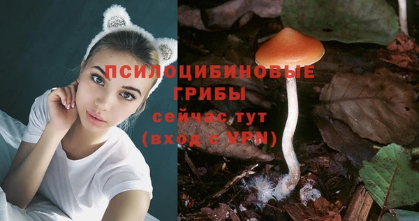 каннабис Белокуриха