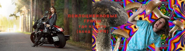 мяу мяу мука Белоозёрский