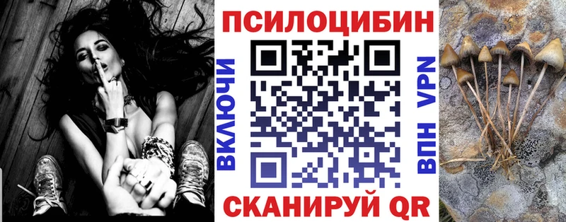 это состав  хочу наркоту  Нововоронеж  Псилоцибиновые грибы прущие грибы 